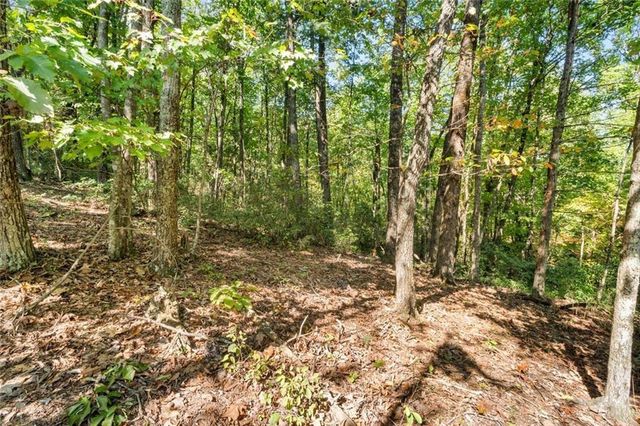 288 Blazingstar Trail, Big Canoe, GA 30143