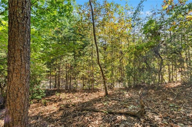 288 Blazingstar Trail, Big Canoe, GA 30143