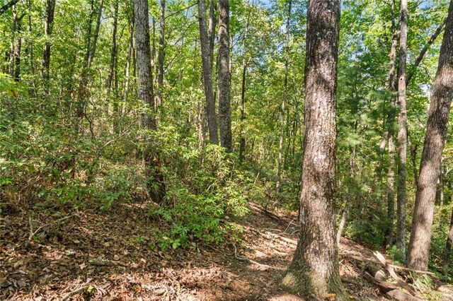 288 Blazingstar Trail, Big Canoe, GA 30143