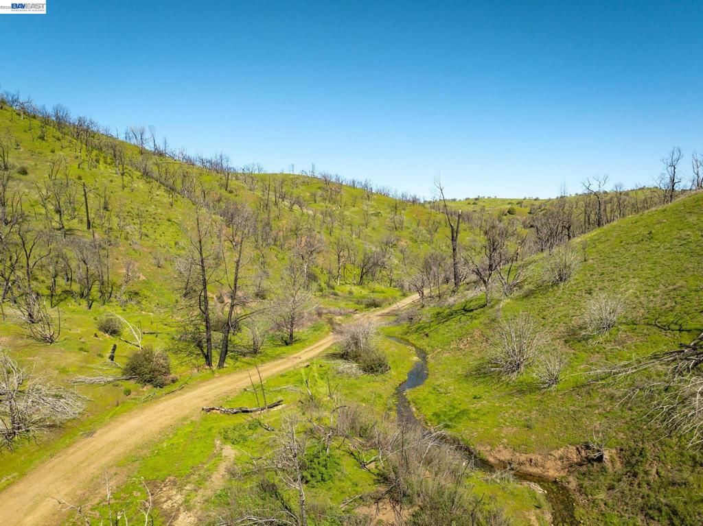 Image 11 of property listing at 15676 W Corral Hollow Rd, Tracy, CA 95377