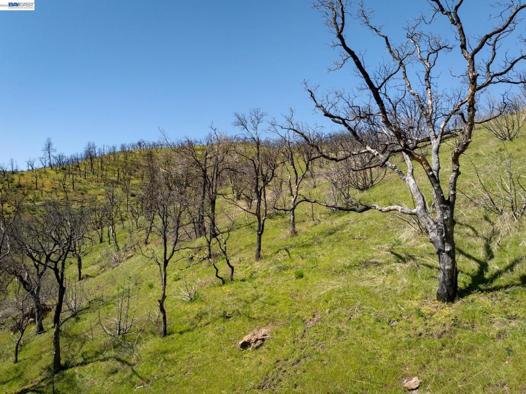 Image 12 of property listing at 15676 W Corral Hollow Rd, Tracy, CA 95377