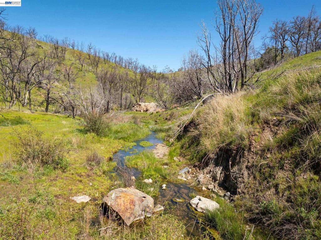 Image 13 of property listing at 15676 W Corral Hollow Rd, Tracy, CA 95377