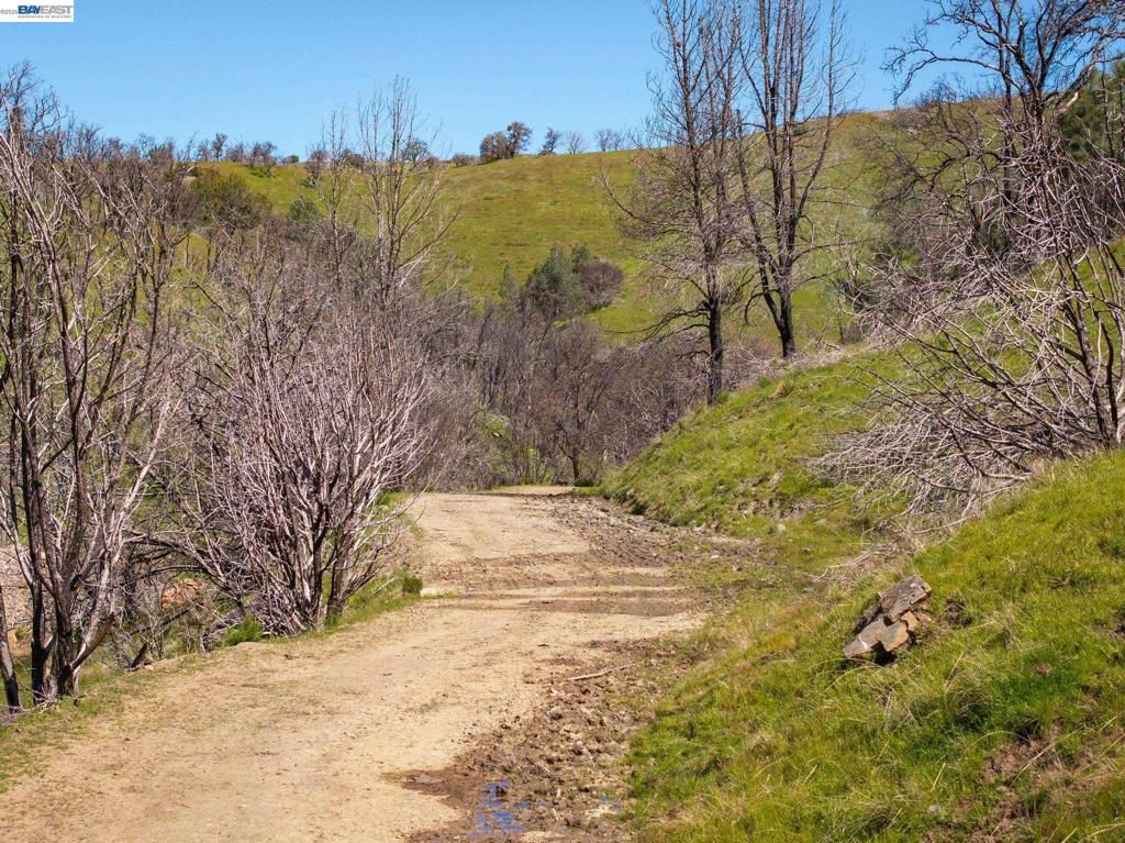 Image 14 of property listing at 15676 W Corral Hollow Rd, Tracy, CA 95377