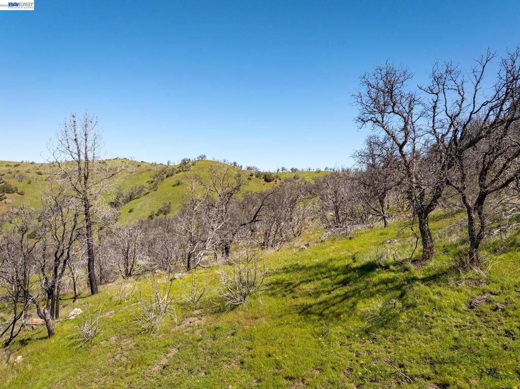 Image 15 of property listing at 15676 W Corral Hollow Rd, Tracy, CA 95377