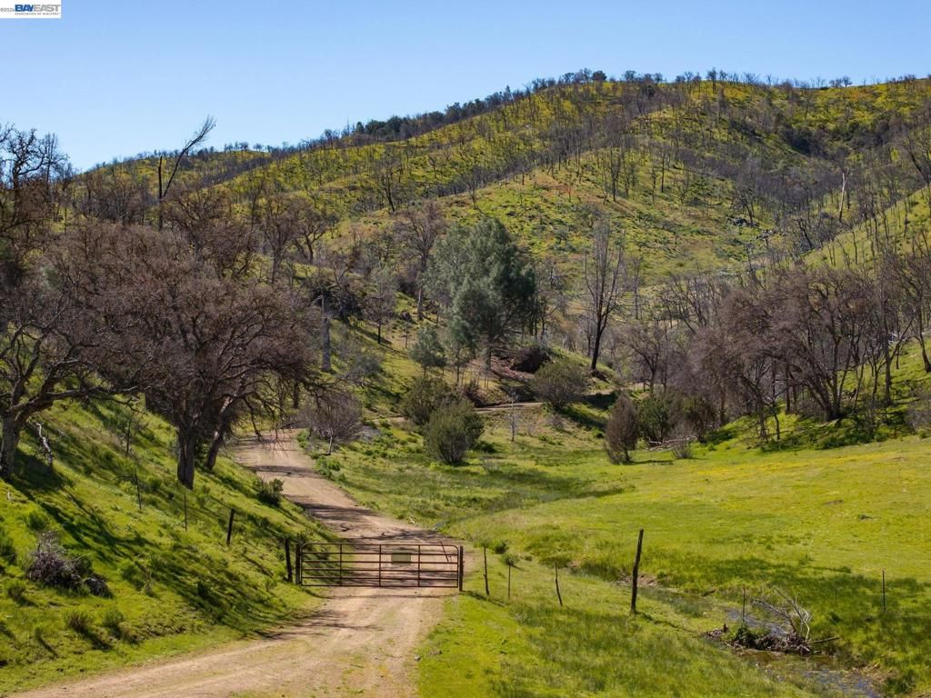 Image 17 of property listing at 15676 W Corral Hollow Rd, Tracy, CA 95377