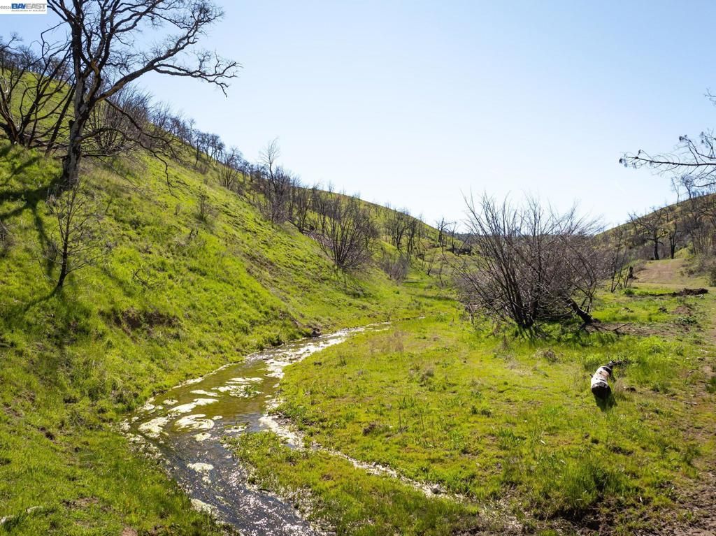 Image 19 of property listing at 15676 W Corral Hollow Rd, Tracy, CA 95377
