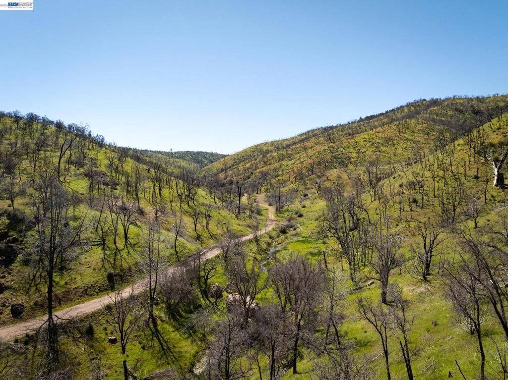 Image 20 of property listing at 15676 W Corral Hollow Rd, Tracy, CA 95377