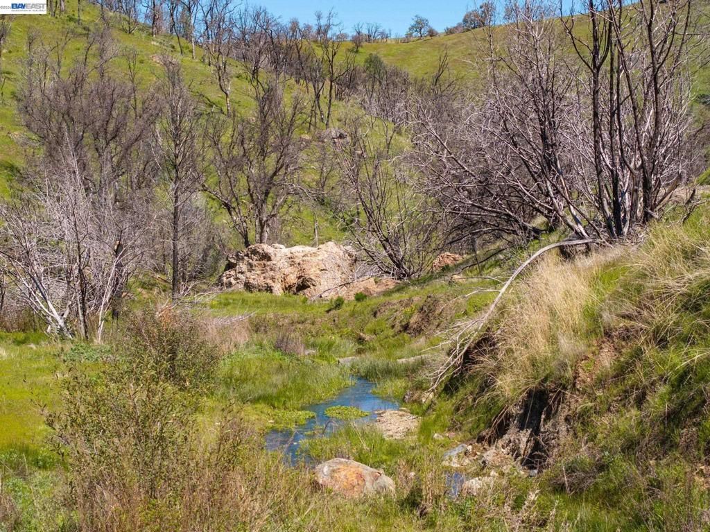 Image 21 of property listing at 15676 W Corral Hollow Rd, Tracy, CA 95377