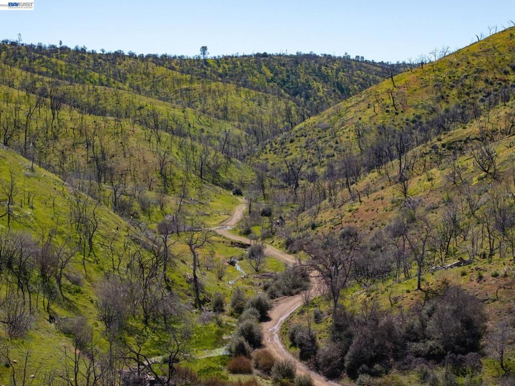 Image 22 of property listing at 15676 W Corral Hollow Rd, Tracy, CA 95377