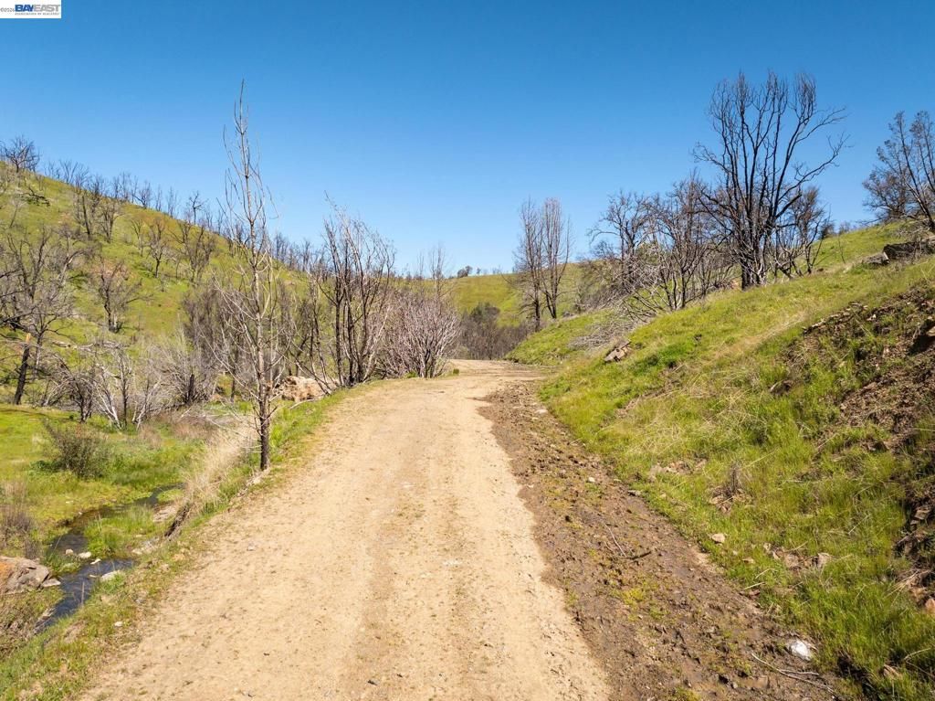 Image 23 of property listing at 15676 W Corral Hollow Rd, Tracy, CA 95377