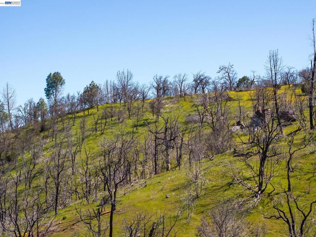 Image 24 of property listing at 15676 W Corral Hollow Rd, Tracy, CA 95377
