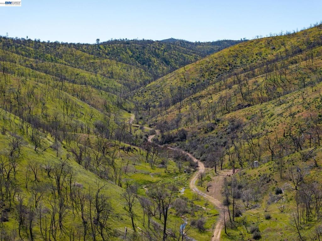 Image 25 of property listing at 15676 W Corral Hollow Rd, Tracy, CA 95377