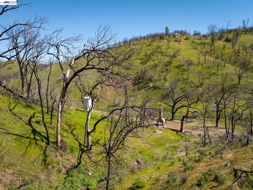 Image 5 of property listing at 15676 W Corral Hollow Rd, Tracy, CA 95377
