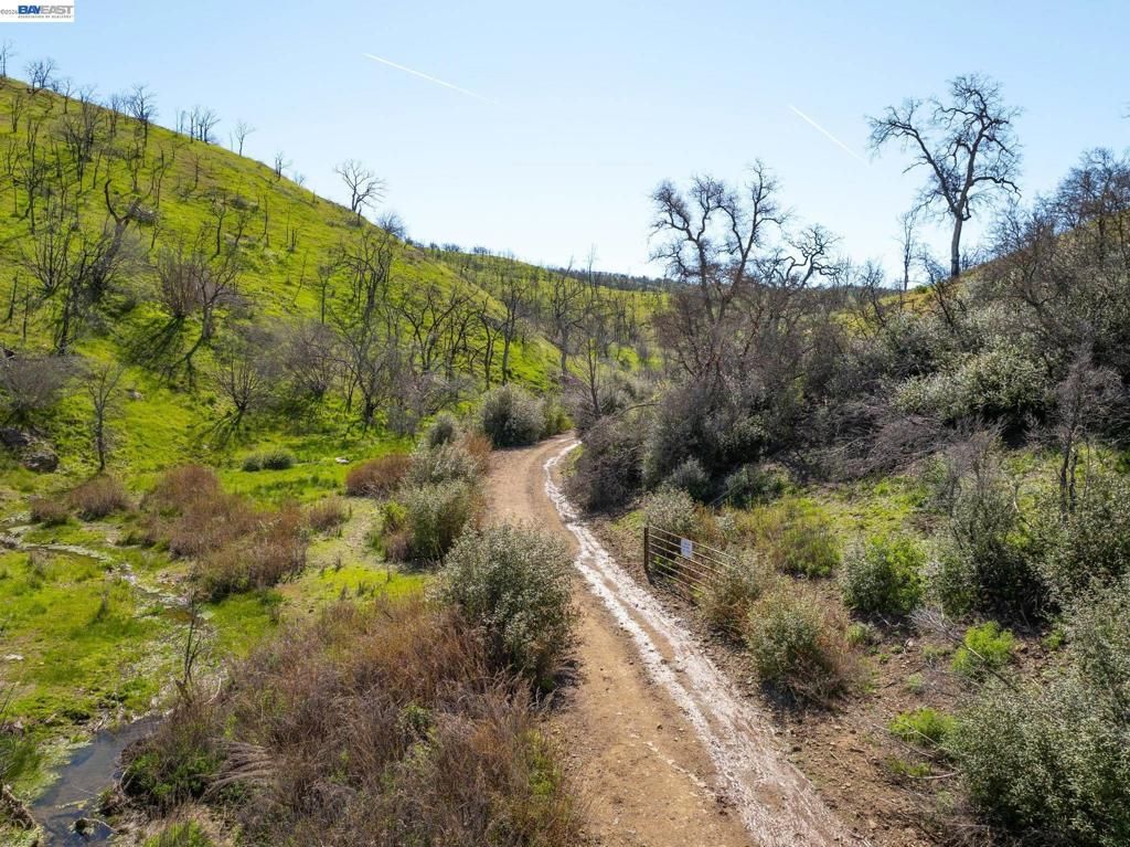 Image 9 of property listing at 15676 W Corral Hollow Rd, Tracy, CA 95377