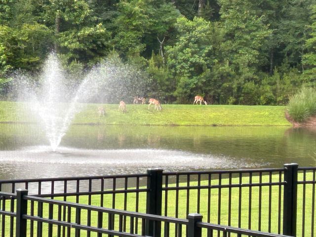 4060 Aspera Drive, Summerville, SC 29483