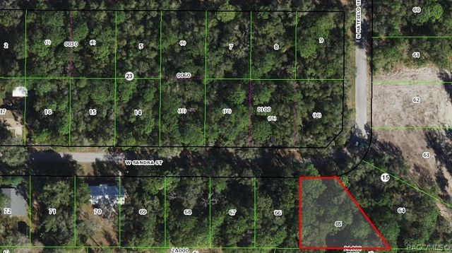 9542 W Sandra Street, Crystal River, FL 34428