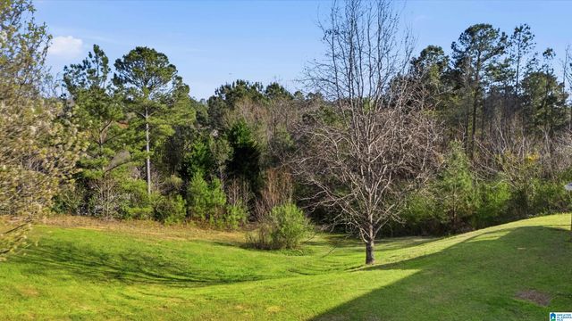 315 TY LANE, Warrior, AL 35180