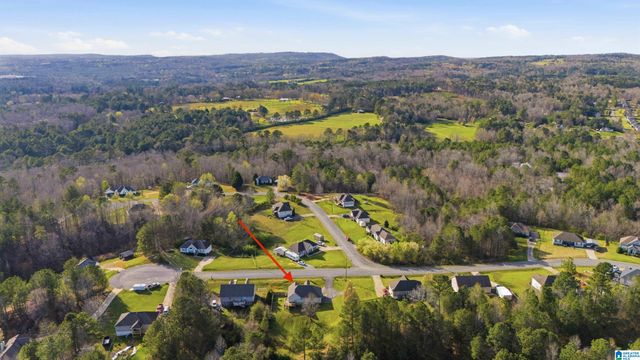 315 TY LANE, Warrior, AL 35180