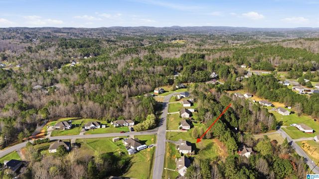 315 TY LANE, Warrior, AL 35180