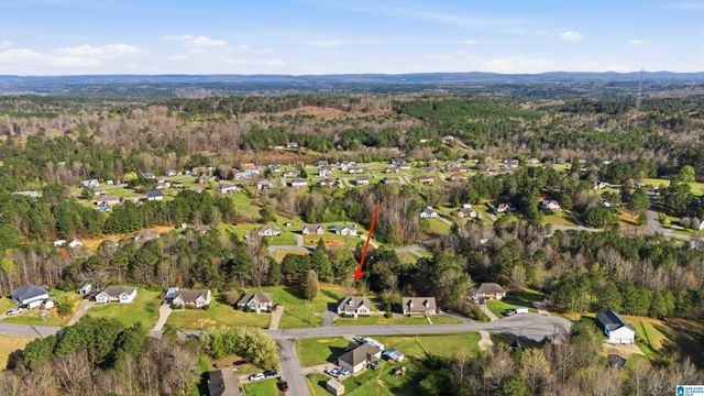 315 TY LANE, Warrior, AL 35180