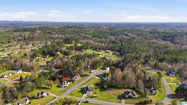 315 TY LANE, Warrior, AL 35180