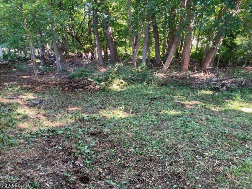 6 Watnong Rd, Morris Twp., NJ 07950 — exterior