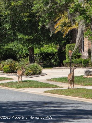 6151 New Osprey Point, Weeki Wachee, FL 34607