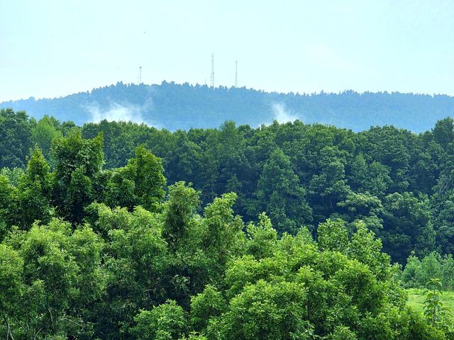 3021 Pea Ridge Rd, Liberty, TN 37095
