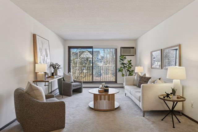 205 Barry Avenue S 303, Wayzata, MN 55391