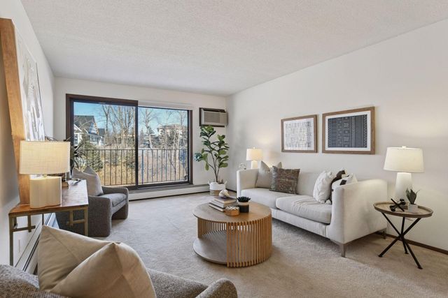 205 Barry Avenue S 303, Wayzata, MN 55391