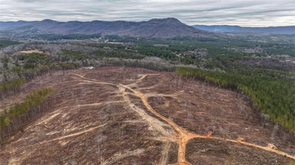 Image 10 of property listing at 557 Acres on Taliaferro Springs Road, Lyerly, GA 30730