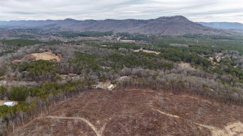 Image 11 of property listing at 557 Acres on Taliaferro Springs Road, Lyerly, GA 30730