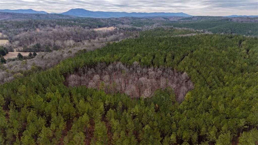Image 12 of property listing at 557 Acres on Taliaferro Springs Road, Lyerly, GA 30730