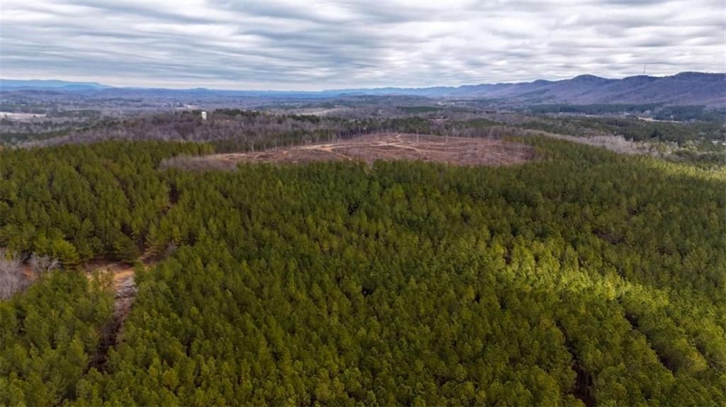 Image 14 of property listing at 557 Acres on Taliaferro Springs Road, Lyerly, GA 30730