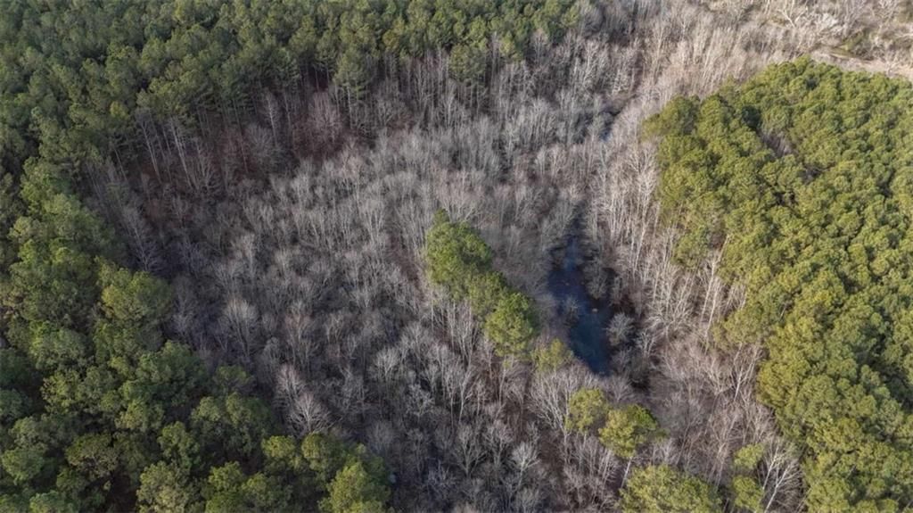Image 6 of property listing at 557 Acres on Taliaferro Springs Road, Lyerly, GA 30730