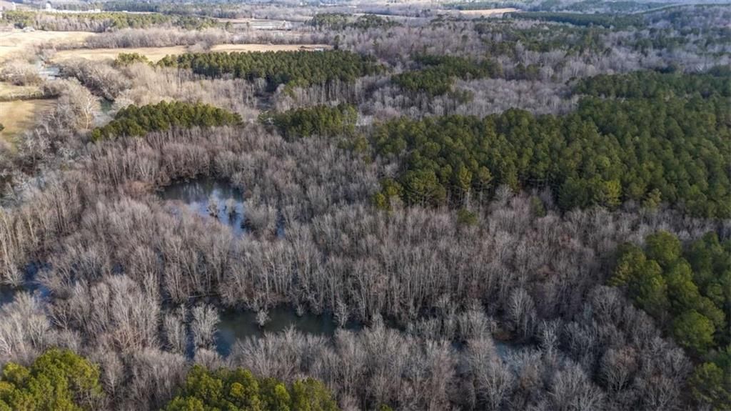 Image 7 of property listing at 557 Acres on Taliaferro Springs Road, Lyerly, GA 30730