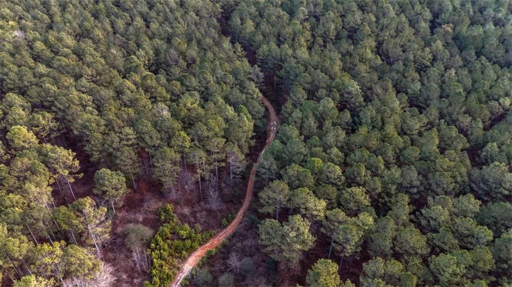 Image 8 of property listing at 557 Acres on Taliaferro Springs Road, Lyerly, GA 30730
