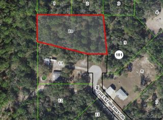 12870 W Checkerberry Drive, Crystal River, FL 34428