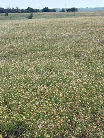 TBD LOT 1 CR 3565, China Spring, TX 76633
