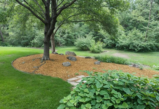 1100 Cherry Court, Burnsville, MN 55306