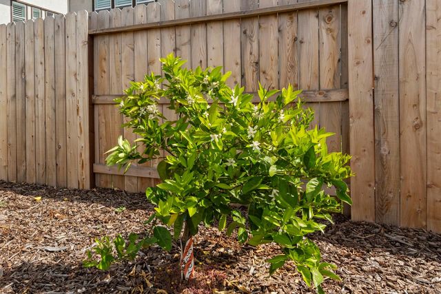 5017 Envy St, Roseville, CA 95747