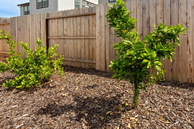 5017 Envy St, Roseville, CA 95747