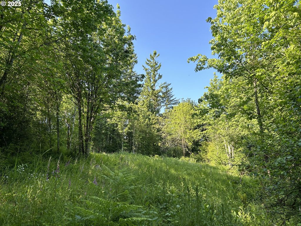 Ne Fargher Dr, Yacolt, WA 98675