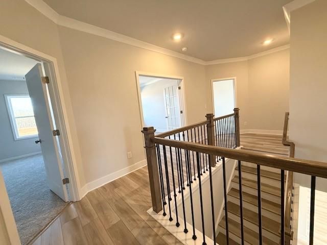 114 Brandle Rose Way, Hoschton, GA 30548