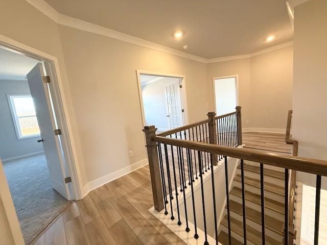 114 Brandle Rose Way, Hoschton, GA 30548