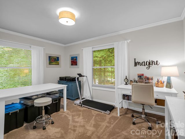 558 Middle Connestee Trail, Brevard, NC 28712
