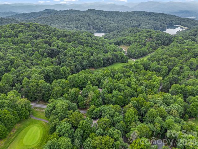 558 Middle Connestee Trail, Brevard, NC 28712