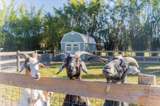 5460 BOUTIN LANE, St Cloud, FL 34772