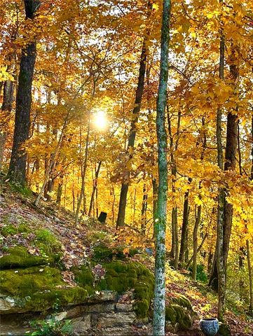 320 Spring Street, Eureka Springs, AR 72632