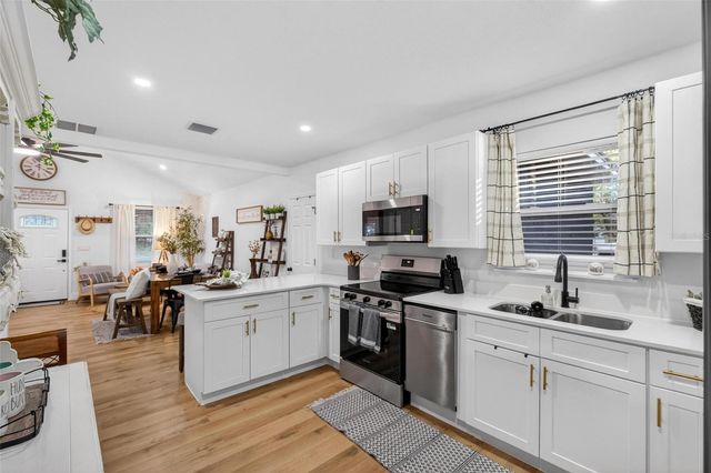 1503 GRANITE STATE COURT, Mount Dora, FL 32757